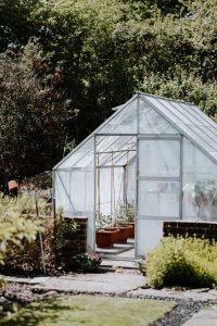 Hur du hittar de perfekta växthusen för dina behov